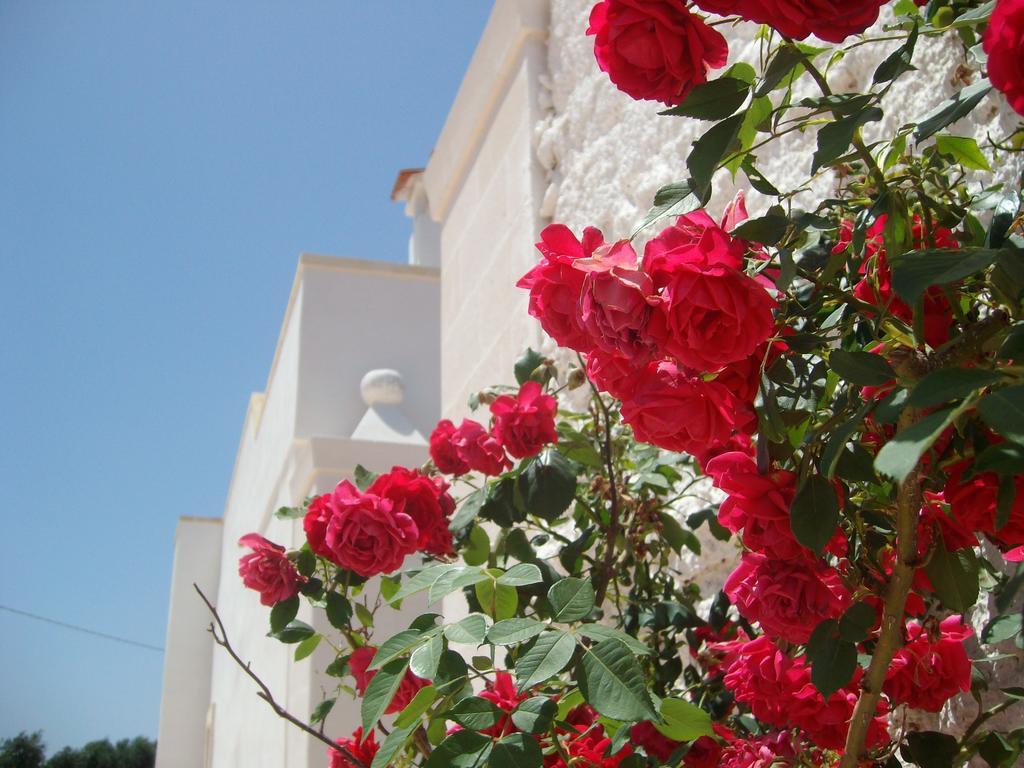 Masseria Nuova Guest House San Marzano di San Giuseppe ภายนอก รูปภาพ