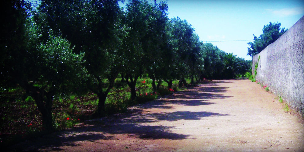 Masseria Nuova Guest House San Marzano di San Giuseppe ภายนอก รูปภาพ